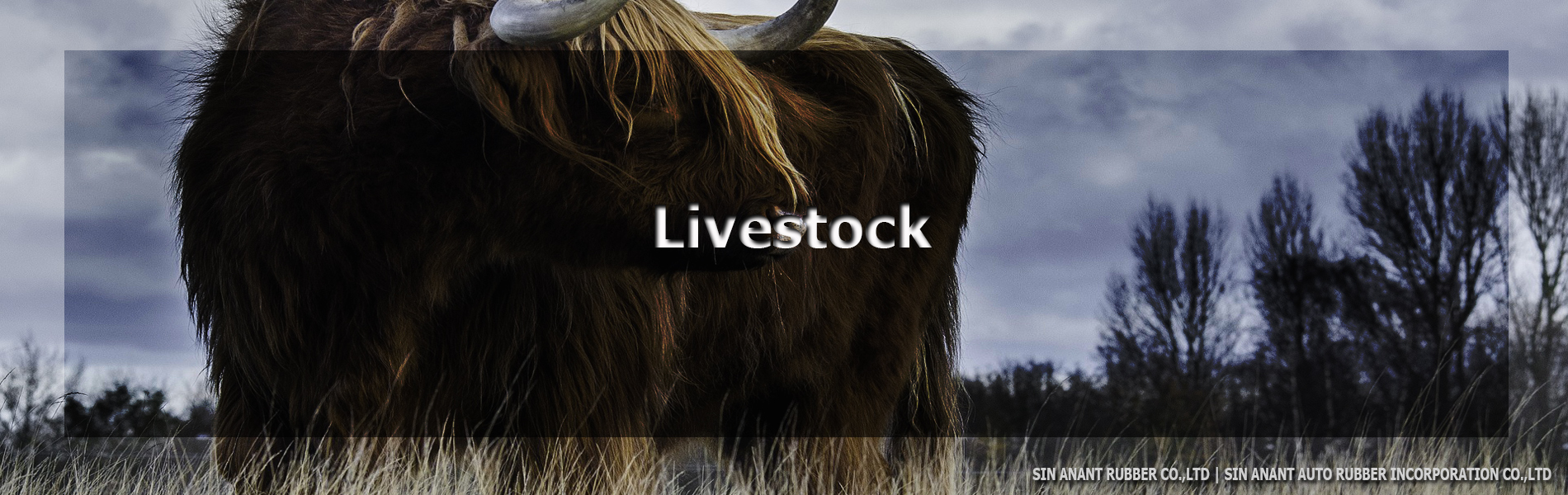 livestock